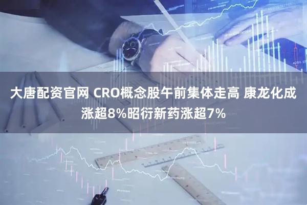 大唐配资官网 CRO概念股午前集体走高 康龙化成涨超8%昭衍新药涨超7%