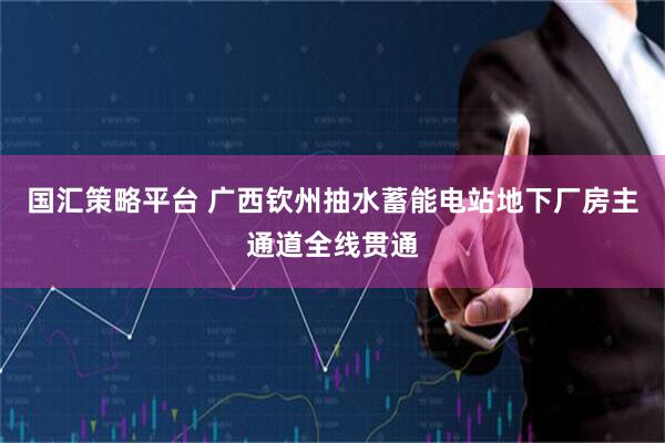 国汇策略平台 广西钦州抽水蓄能电站地下厂房主通道全线贯通
