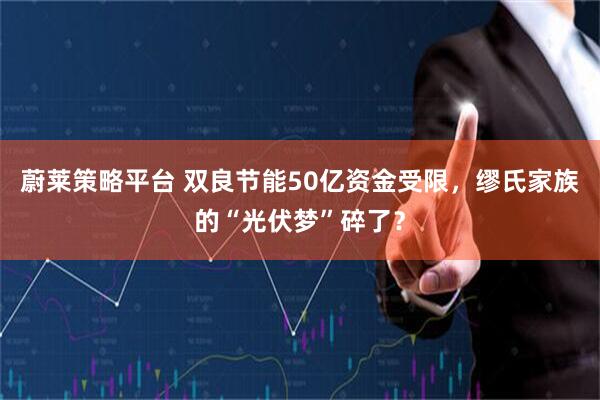 蔚莱策略平台 双良节能50亿资金受限，缪氏家族的“光伏梦”碎了？
