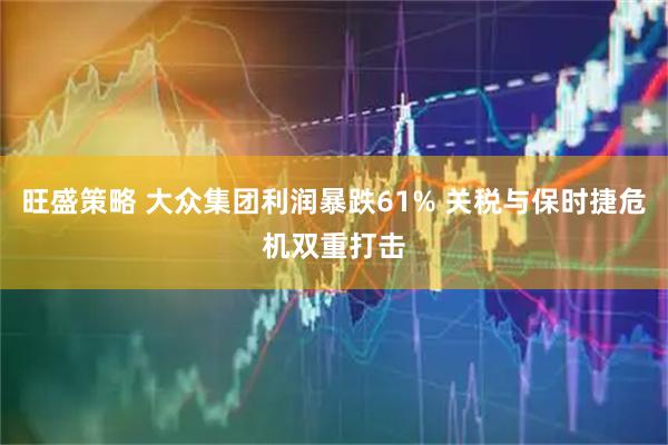 旺盛策略 大众集团利润暴跌61% 关税与保时捷危机双重打击