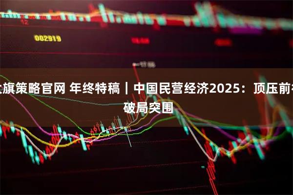 大旗策略官网 年终特稿｜中国民营经济2025：顶压前行 破局突围