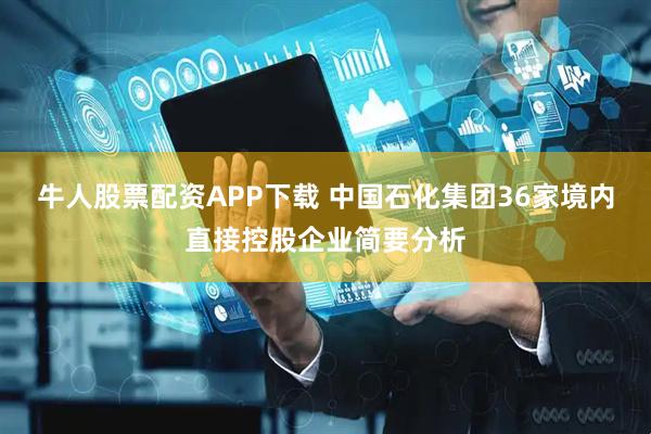 牛人股票配资APP下载 中国石化集团36家境内直接控股企业简要分析
