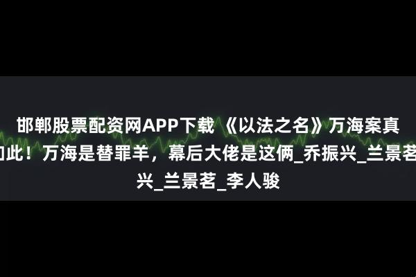 邯郸股票配资网APP下载 《以法之名》万海案真相原来如此！万海是替罪羊，幕后大佬是这俩_乔振兴_兰景茗_李人骏