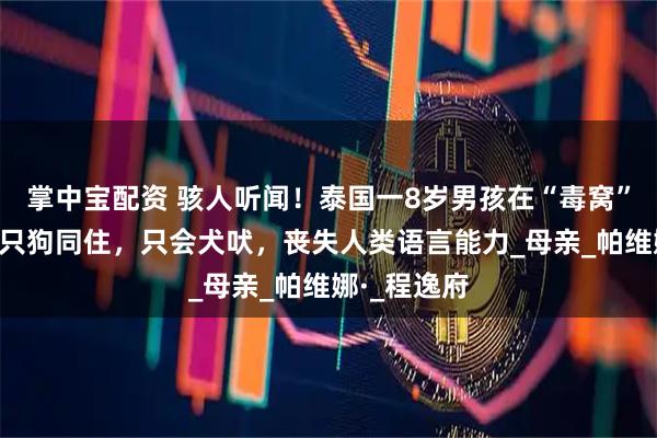 掌中宝配资 骇人听闻！泰国一8岁男孩在“毒窝”长大，与6只狗同住，只会犬吠，丧失人类语言能力_母亲_帕维娜·_程逸府
