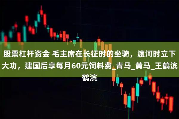 股票杠杆资金 毛主席在长征时的坐骑，渡河时立下大功，建国后享每月60元饲料费_青马_黄马_王鹤滨