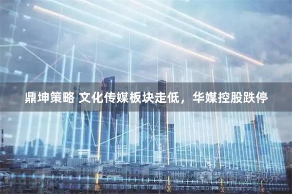 鼎坤策略 文化传媒板块走低，华媒控股跌停