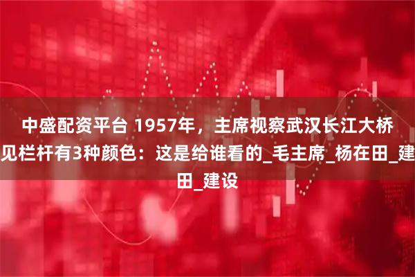 中盛配资平台 1957年，主席视察武汉长江大桥，见栏杆有3种颜色：这是给谁看的_毛主席_杨在田_建设