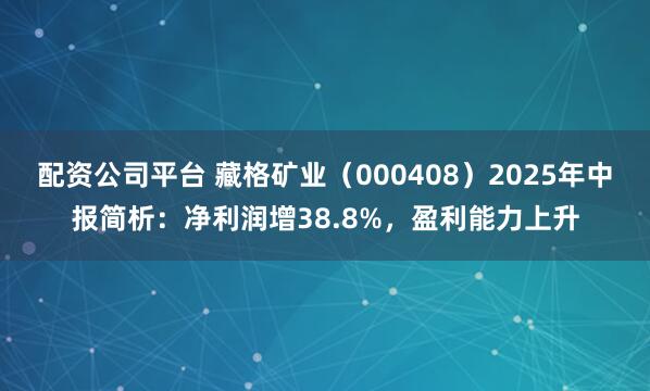 配资公司平台 藏格矿业（000408）2025年中报简析：净利润增38.8%，盈利能力上升