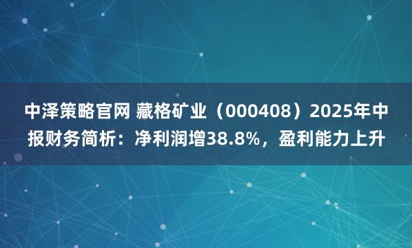 中泽策略官网 藏格矿业（000408）2025年中报财务简析：净利润增38.8%，盈利能力上升