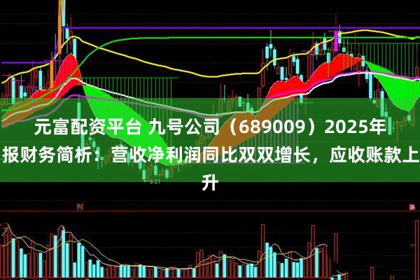 元富配资平台 九号公司（689009）2025年中报财务简析：营收净利润同比双双增长，应收账款上升