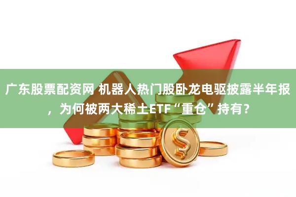 广东股票配资网 机器人热门股卧龙电驱披露半年报，为何被两大稀土ETF“重仓”持有？