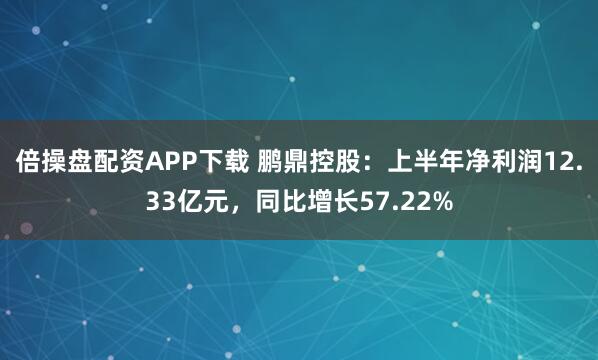倍操盘配资APP下载 鹏鼎控股：上半年净利润12.33亿元，同比增长57.22%