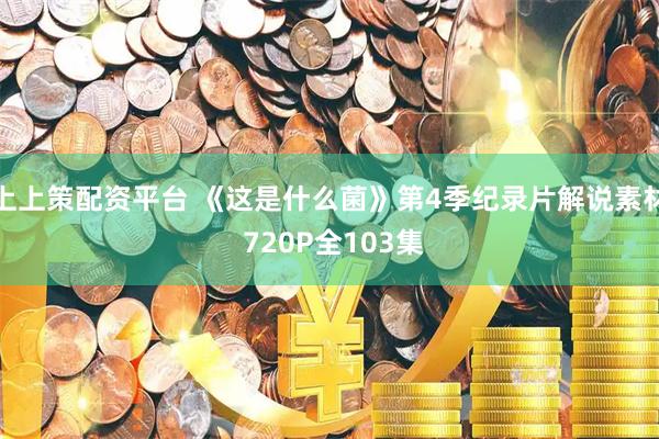 上上策配资平台 《这是什么菌》第4季纪录片解说素材 720P全103集