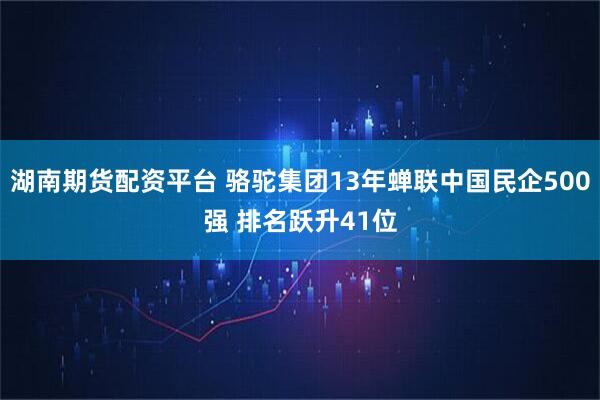 湖南期货配资平台 骆驼集团13年蝉联中国民企500强 排名跃升41位