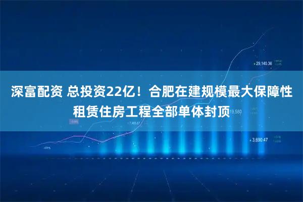 深富配资 总投资22亿！合肥在建规模最大保障性租赁住房工程全部单体封顶
